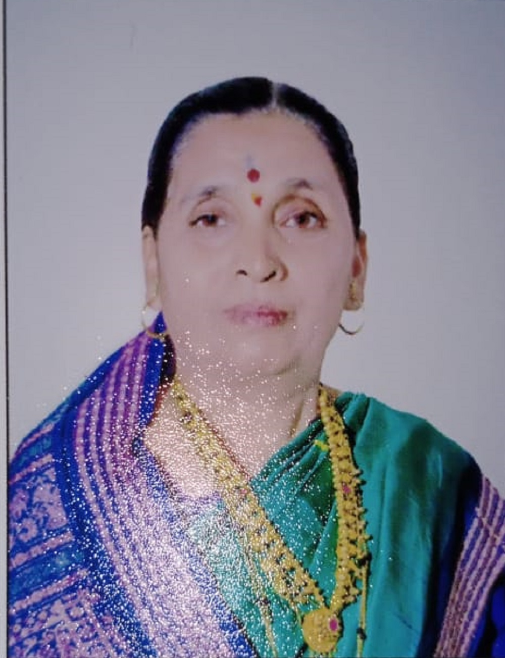 सदस्य